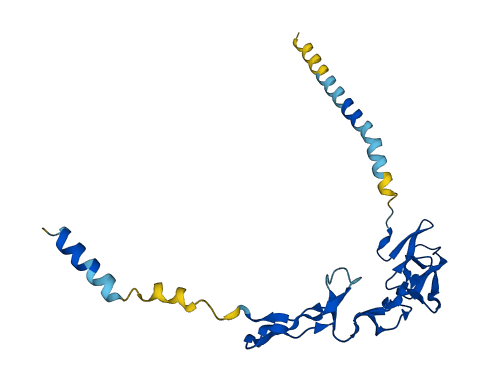Tnfrsf22 3D structure