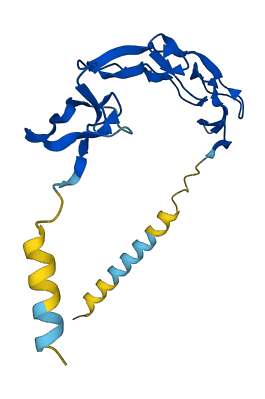 Tnfrsf23 3D structure