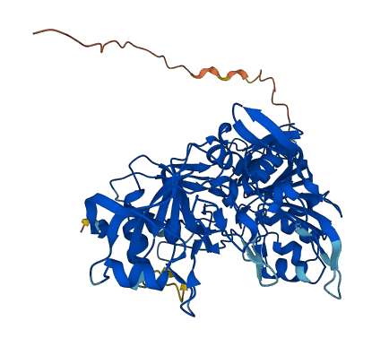 Oxct2b 3D structure