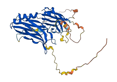 Doc2g 3D structure