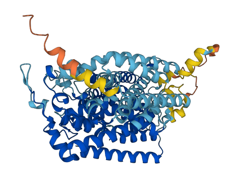 Slc5a4a 3D structure