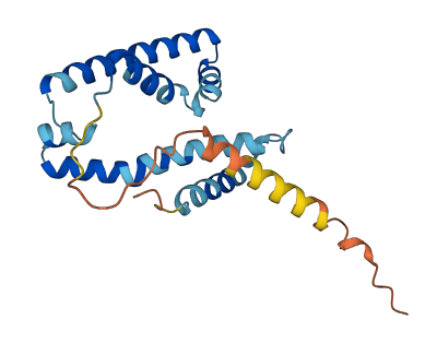SLC7A5P2 3D structure