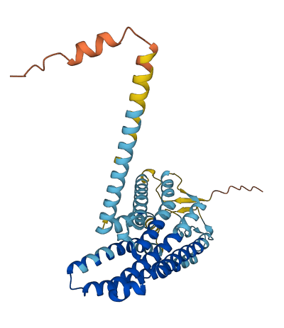 OR2B2 3D structure