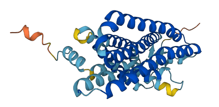 OR2H1 3D structure