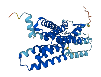 OR2J1 3D structure