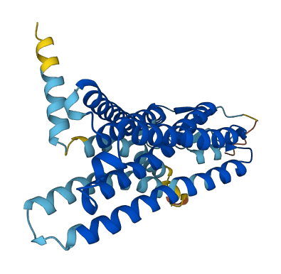 OR11A1 3D structure