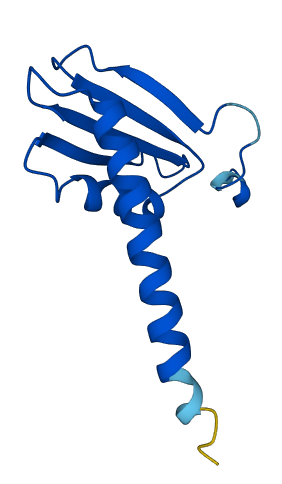 POLR2J2 3D structure