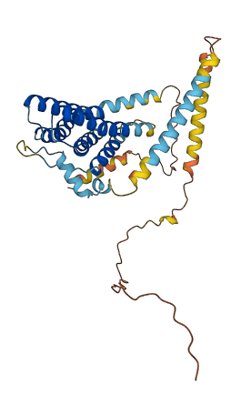YIPF3 3D structure