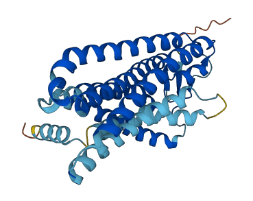 OR8D2 3D structure
