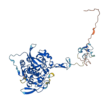 TINAGL1 3D structure