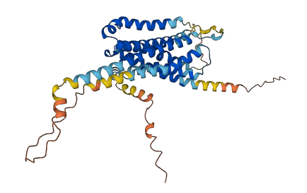 GPR88 3D structure