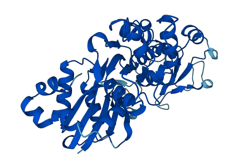 ACTR6 3D structure