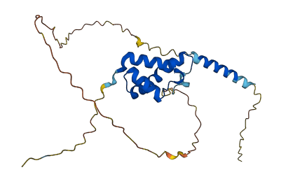 TGIF2 3D structure