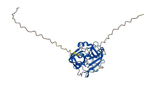 PRSS22 3D structure