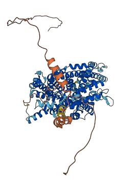 SLC6A16 3D structure