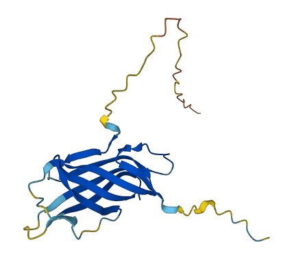 C20orf27 3D structure