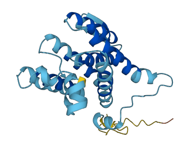 DERL2 3D structure