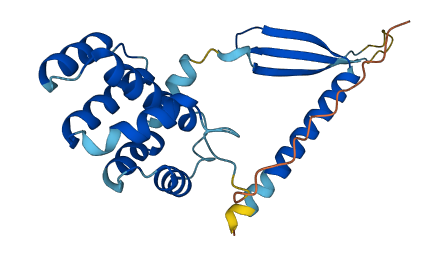 COMMD5 3D structure