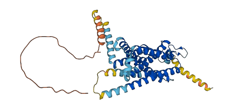 NMUR2 3D structure
