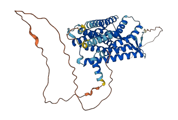 NPFFR1 3D structure