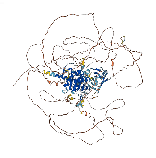 SENP6 3D structure