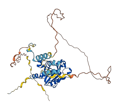 REXO4 3D structure