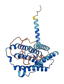 ELOVL4 3D structure