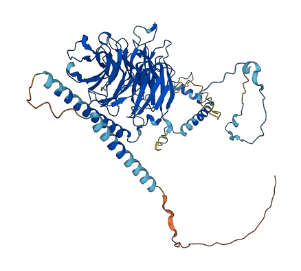 DNAI2 3D structure
