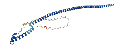 CCDC90B 3D structure