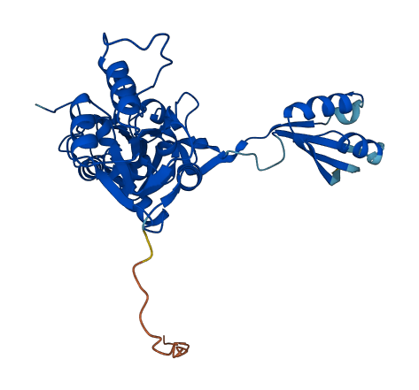 NIF3L1 3D structure