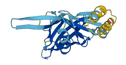 C6orf62 3D structure