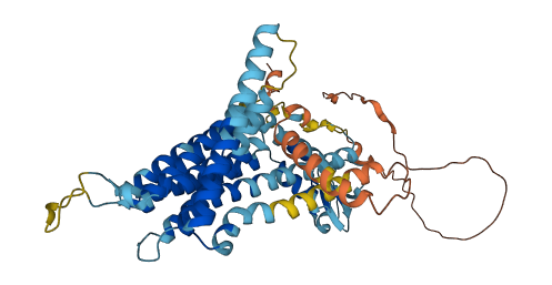 TMEM39B 3D structure