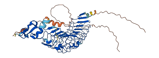 NYX 3D structure