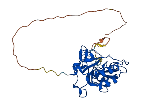 CTDSP1 3D structure
