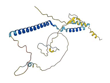 PSME3IP1 3D structure