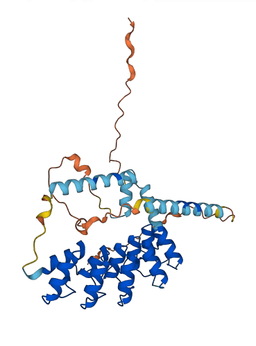 ANKRD2 3D structure