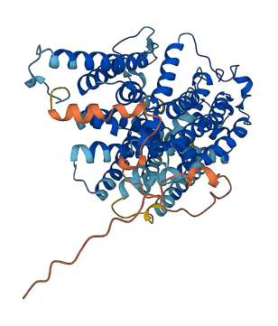 SLC5A7 3D structure