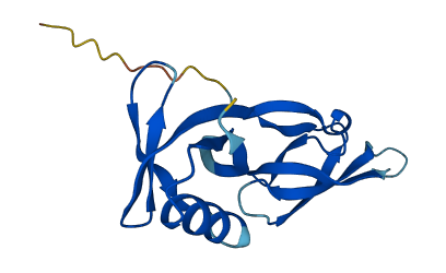 EIF5A2 3D structure