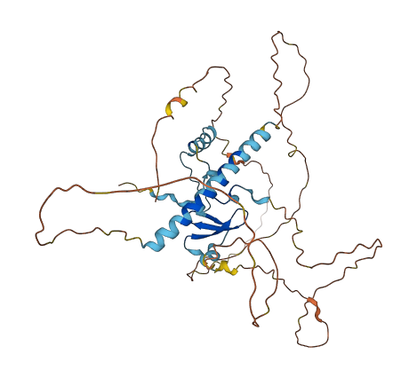 WWTR1 3D structure