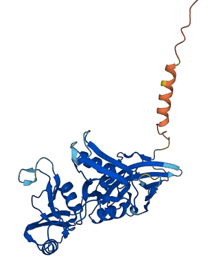 HAPLN2 3D structure