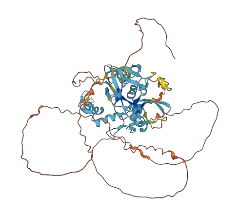 PRDM14 3D structure