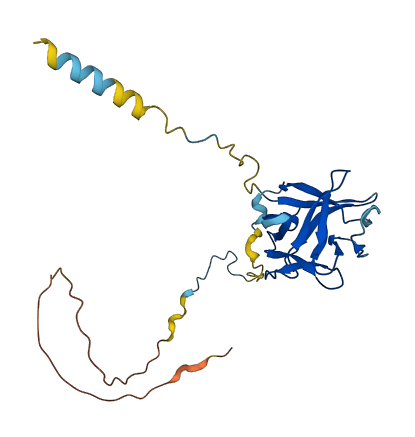 FGF23 3D structure