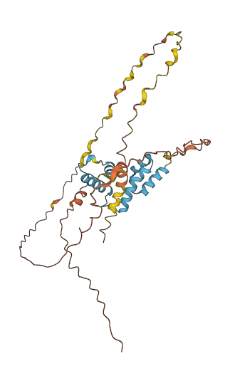SCAND2P 3D structure