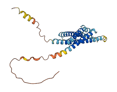 MS4A7 3D structure