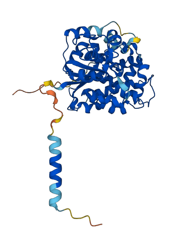 CHST6 3D structure