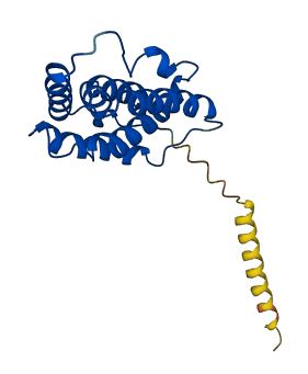 IL22 3D structure