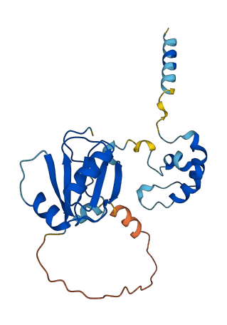 TWSG1 3D structure