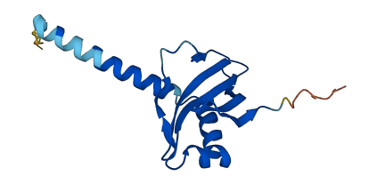 COA1 3D structure