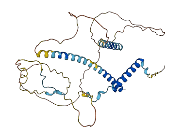 MFF 3D structure
