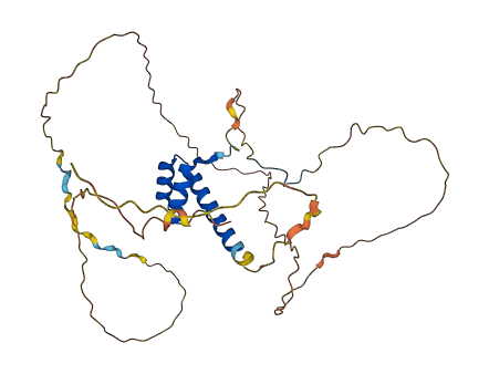 HOXD1 3D structure
